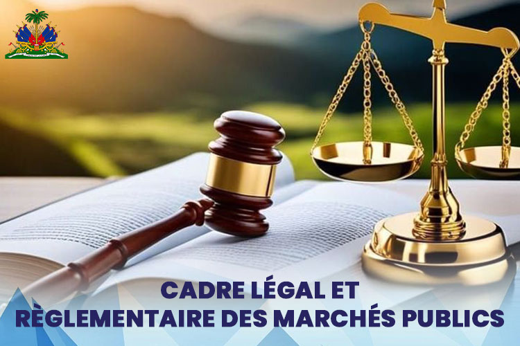 Riz Djon Djon avec Poulet